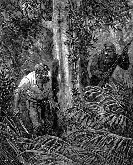Uninhabited Island Depiction Drucke: Robinsons of Guyana. Surrender