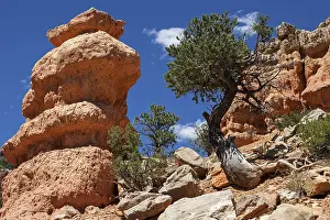 US America Natural Reserve Drucke: Rock formations created by erosion