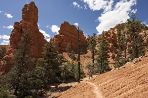 Red Canyon Utah Landscape Drucke: Rock formations created by erosion