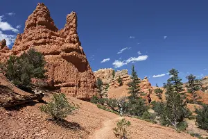 Utah Rock Formations Drucke: Rock formations created by erosion