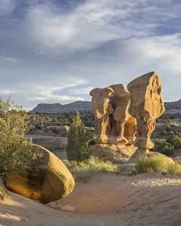 US Travel Photography Drucke: Rock formations in Devil's Garden