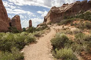 Rock Formations Drucke: Rock formations at Devil's Garden Trailhead