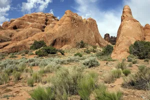 Weathered Rock Formations Drucke: Rock formations at Devil's Garden Trailhead