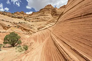 Drucke von Felsformationen der Teepees, South Coyote Butt, Marble Canyon, Arizona, Vereinigte Staaten Kojote Drucke: Felsformationen der Teepees