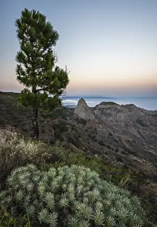 Canary Islands Mountain Range Drucke: Rock Roque de Agando at sunset