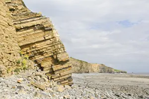 Llantwit Major Beach Drucke: Rockfall, layered rock formations