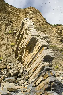 Rocky Coastline UK Drucke: Rockfall, layered rock formations