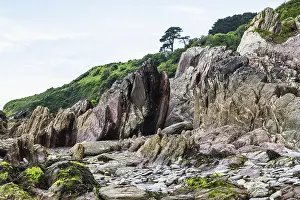 Plymouth Drucke: Felsen auf Mothecombe Beach, Mothecombe