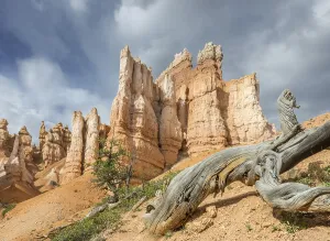 Navajo Loop Trail Drucke: Rocks of the Navajo Loop Trail