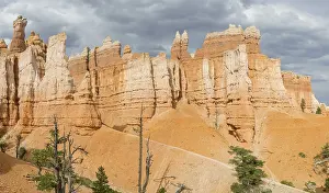 Rocky Formation Photography Drucke: Rocks of the Navajo Loop Trail