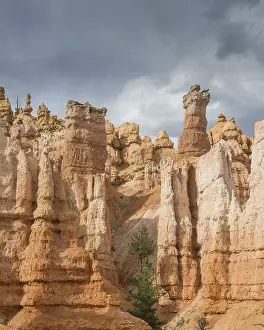 Navajo Loop Trail Drucke: Rocks of the Navajo Loop Trail