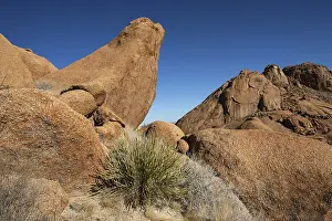 African Mountain Landscape Drucke: Rocks and vegetation, Spitzkoppe