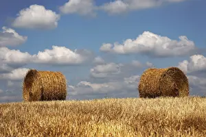 Cloudy Countryside View Drucke: Role play