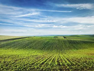 Central Europe Agricultural Land Drucke: Rolling fields of Moravia, Czech Republic