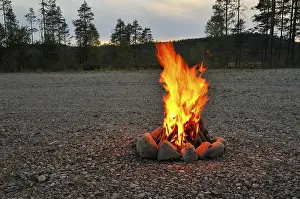 Historic Food Photography Drucke: Romance by the campfire