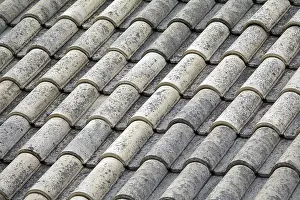 Desolate European Landscapes Drucke: Roof