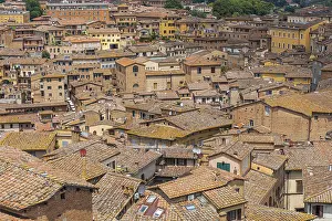 Siena Rooftops Drucke: Above the rooftops in the historic centre of Siena