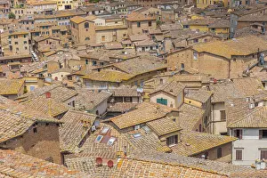 Uninhabited Old Town Area Drucke: Above the rooftops in the historic centre of Siena