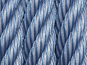 Northern Germany Port Drucke: Ropes