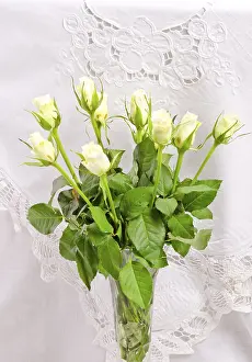 Woman With Flowers Drucke: Rose