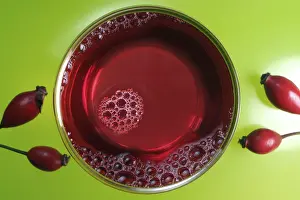 Rose Hip Tea Drucke: Rose hip tea