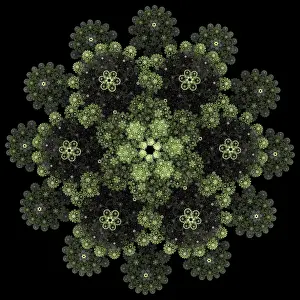Decorative Rose Blossom Drucke: Rose pattern. Mandala pattern. Fractal design
