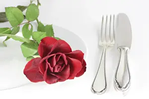 Uninhabited Garden Scenes Drucke: Rose on a plate