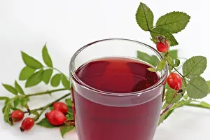 Herbal Tea Benefits Drucke: Rosehip tea