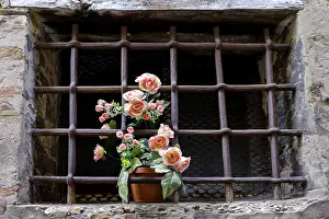 Deserted Garden View Drucke: Roses behind a barred window
