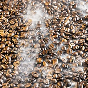Deserted Coffee Scene Drucke: Rosted Coffee beans with some mist around