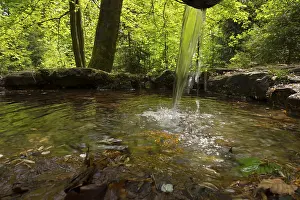 Bavaria Germany Photography Drucke: Rotmainquelle, source of the Red Main