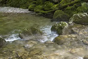 European Mountainous Landscape Drucke: Rottach river, mountain river in the forest