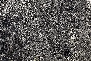 Deserted Road Surface Drucke: Rotted tar coating on a drum