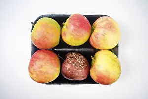 Still Life Apples Drucke: Rotten apple in an apple package