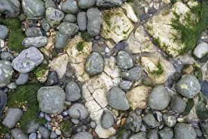 Rocky Coastline England Drucke: Round cut flints and limestones