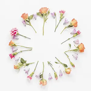 Diverse Flower Arrangements Drucke: Round frame from different flowers table