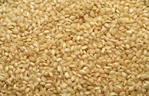 Brown Rice Drucke: Round grain rice