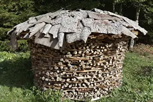 Deserted German Forest Scene Drucke: Round stack of firewood, accurately piled up