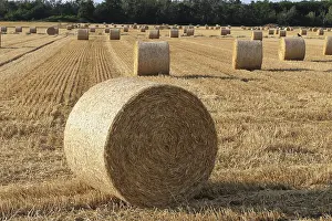 Deserted Farming Scene Drucke: Roundballs on a Field