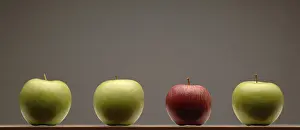 Studio Shot Of Apples Drucke: Row of apples