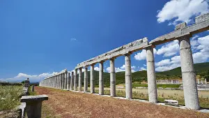 Ancient Civilization Ruins Complex Drucke: Row of columns along a paved path in an ancient archaeological site