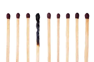 Studio Shot Of Matches Drucke: Row of matches, one burnt