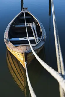 Rowing Boat Germany Drucke: Rowing boat with oars, secured with dew