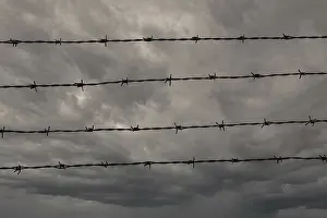 Dark And Gloomy Atmosphere Drucke: Four rows of barbed wire