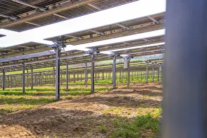 Sustainable Energy Supply Drucke: Rows of solar panels in a field