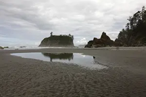 National Park Landscapes Drucke: Ruby Beach, Forks, Olympic Peninsula