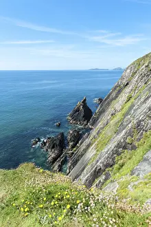 Slea Head Drive Panoramic Route Drucke: Rugged cliffs on the steep coast