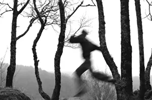 Forest Landscape Photography Drucke: Running in the woods