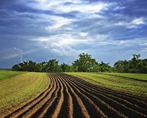Atmospheric Morning Light Drucke: Rural landscape