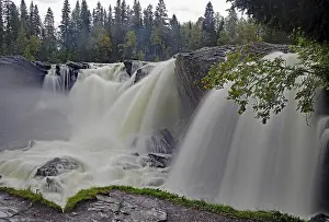 Scandinavian Countryside Scenery Drucke: A rushing waterfall in a forest